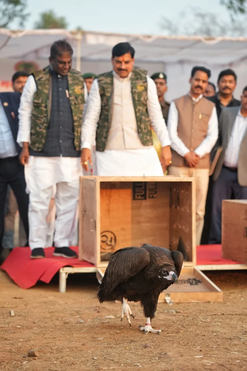 भारतीय नौसेना के जहाज सह्याद्री और कुलिश, एडीएसएस-प्‍लस जेसीए के लिए फिलीपींस के सुबिक खाड़ी पहुंचे